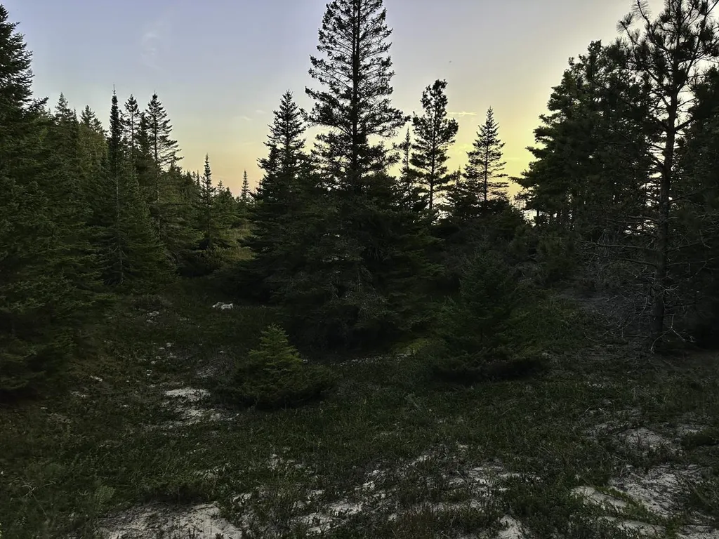 Tbd Mrs Reddings Trail Peaine Township MI 49782
