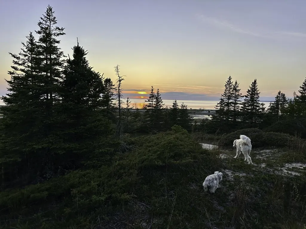 Tbd Mrs Reddings Trail Peaine Township MI 49782