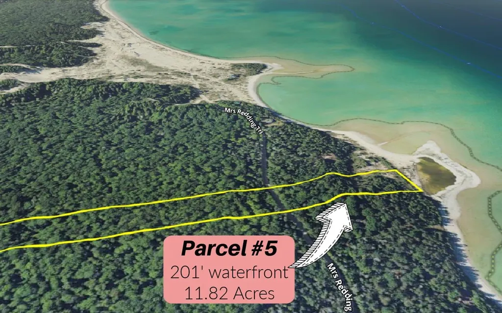Tbd Mrs Reddings Trail Peaine Township MI 49782