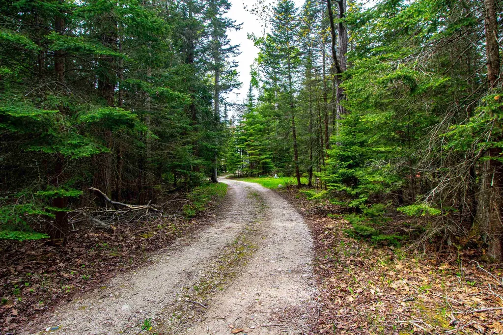 33171 Mrs Reddings Trail Peaine Township MI 49782