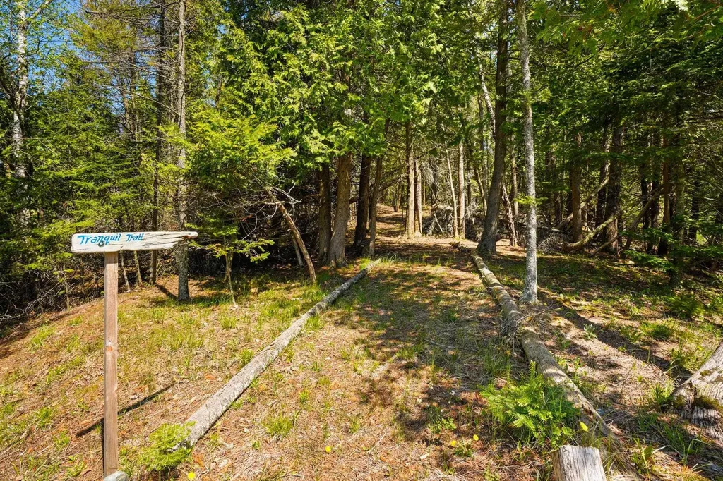 33171 Mrs Reddings Trail Peaine Township MI 49782