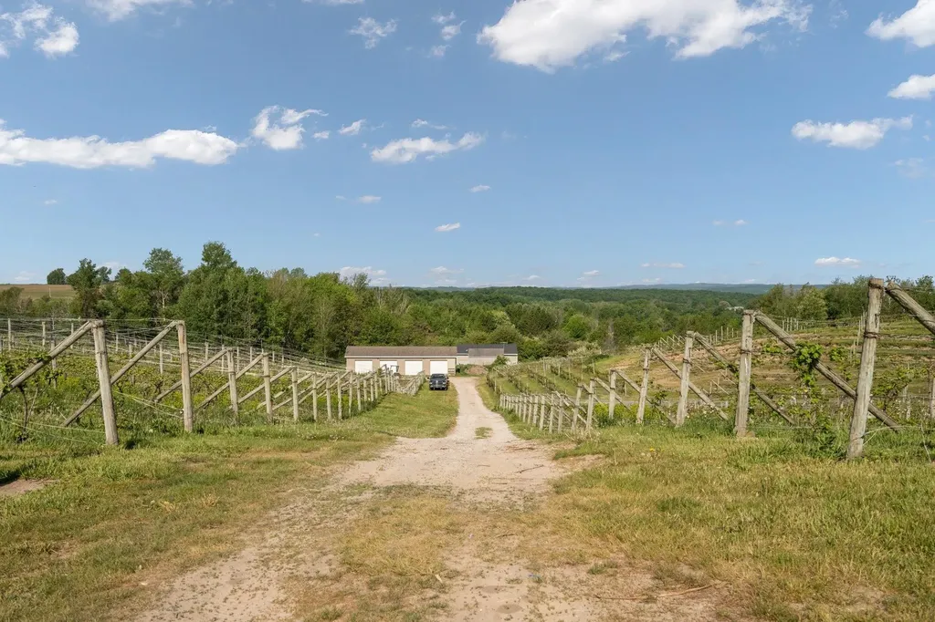 10343 E Hilltop Road Bingham Township MI 49682