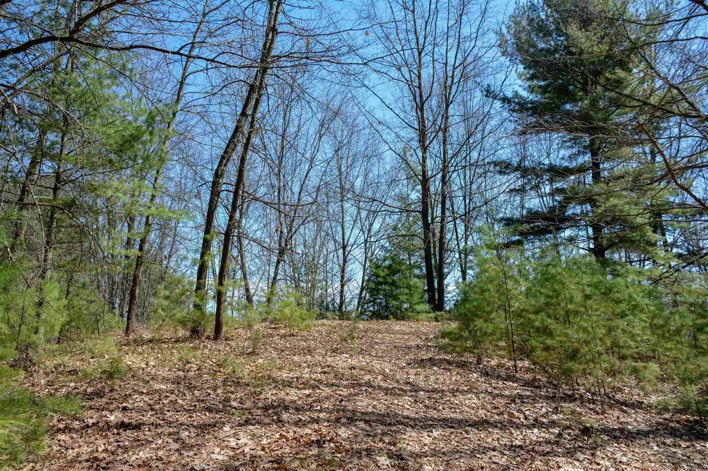 00 N Four Mile Road East Bay Township MI 49696