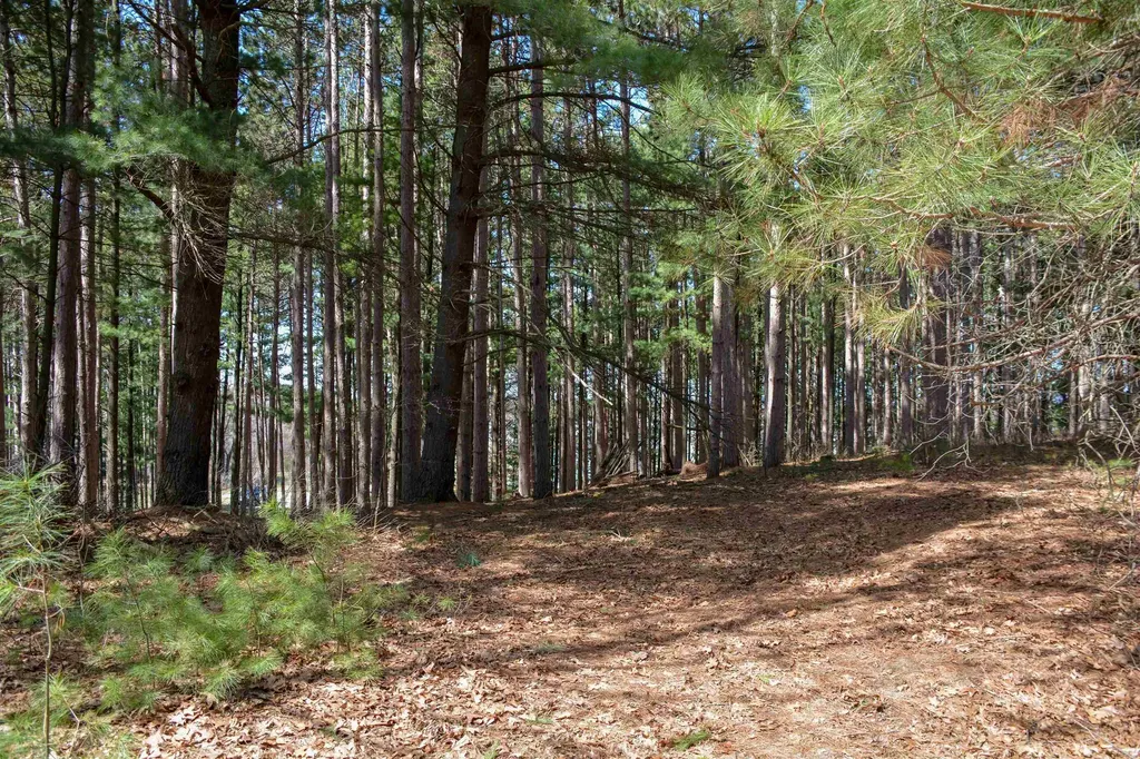 00 N Four Mile Road East Bay Township MI 49696