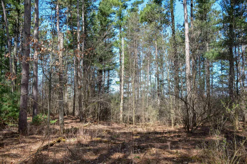 00 N Four Mile Road East Bay Township MI 49696
