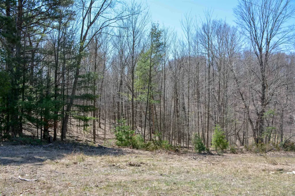 00 N Four Mile Road East Bay Township MI 49696