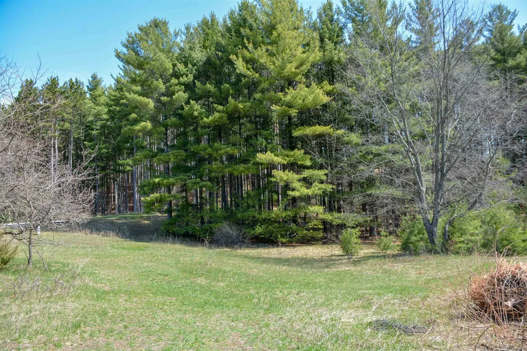 00 N Four Mile Road East Bay Township MI 49696