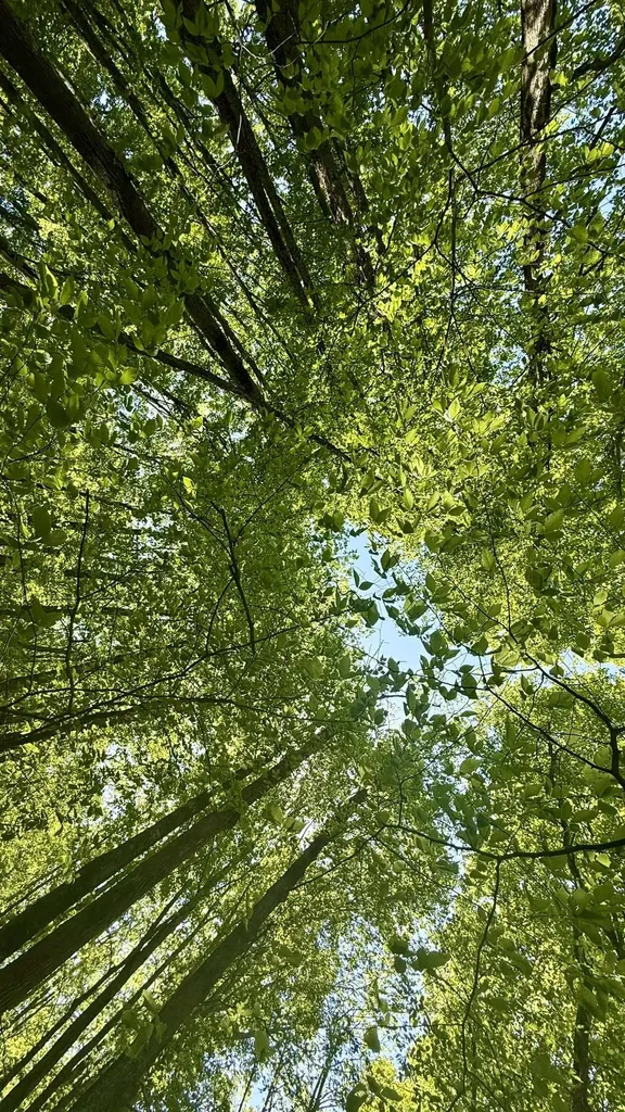 Lot 130 Maromir Court Kearney Township MI 49615