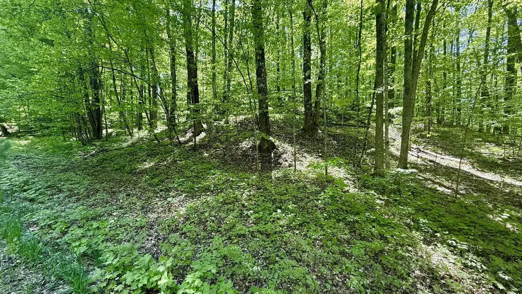 Lot 130 Maromir Court Kearney Township MI 49615
