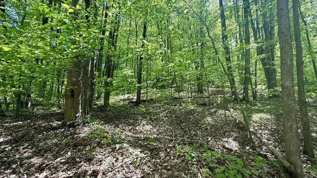 Lot 130 Maromir Court Kearney Township MI 49615