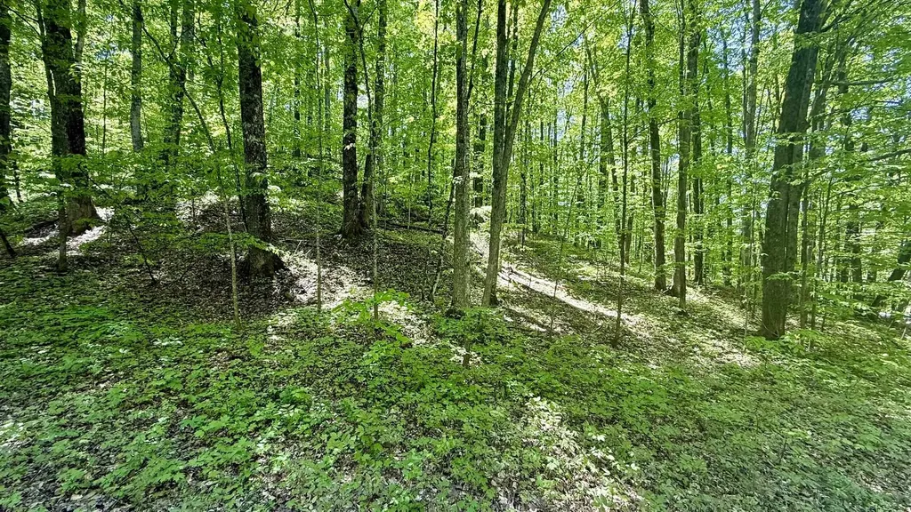 Lot 130 Maromir Court Kearney Township MI 49615