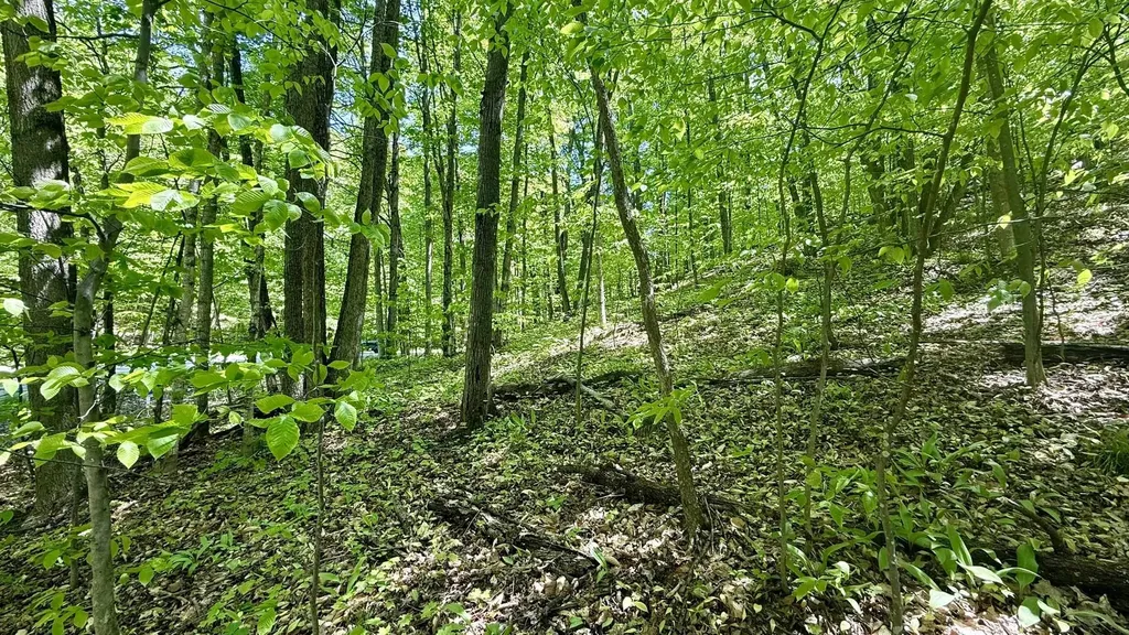 Lot 130 Maromir Court Kearney Township MI 49615