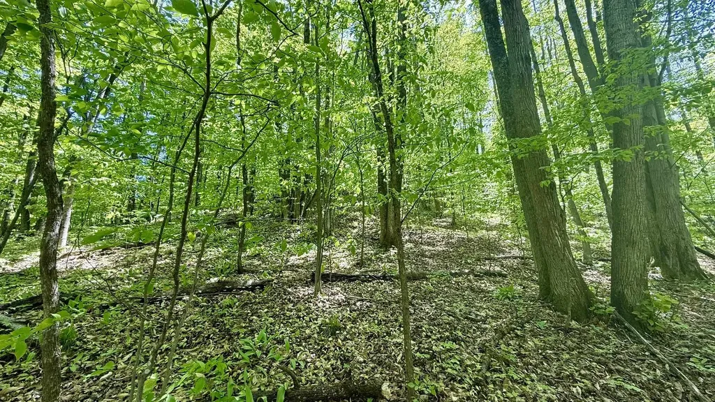Lot 130 Maromir Court Kearney Township MI 49615