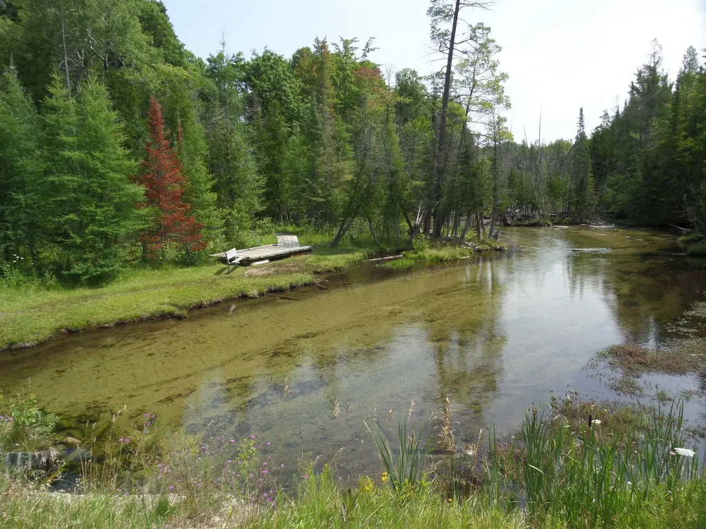 Lot 130 Maromir Court Kearney Township MI 49615