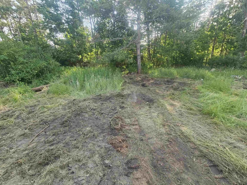 12877 Us-31 N Charlevoix Township MI 49720