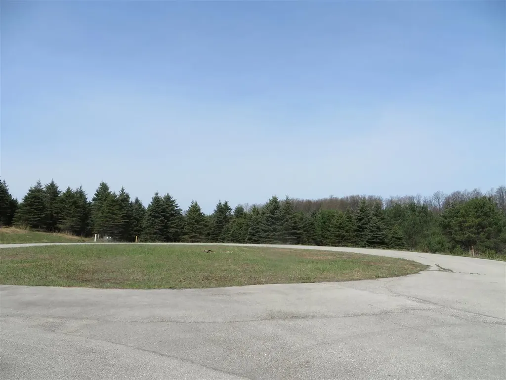 1 Spruce Hollow Trace Fife Lake Township MI 49633