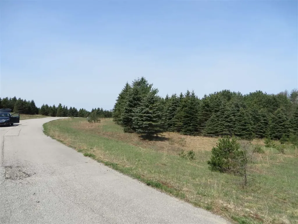1 Spruce Hollow Trace Fife Lake Township MI 49633