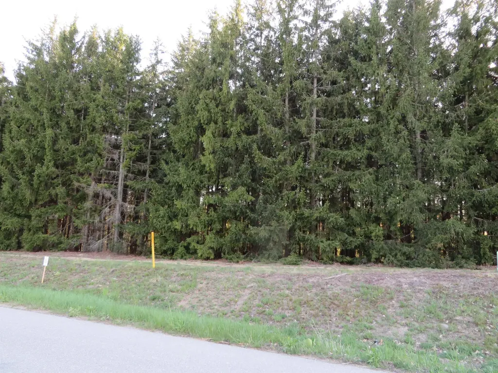 25 Hollowbrook Drive Mayfield Township MI 49649