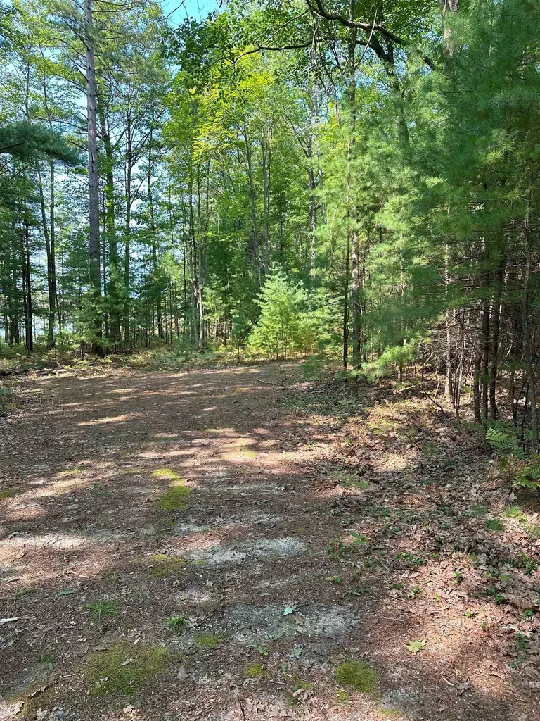 592 SE Blue Heron Drive Orange Township MI 49646