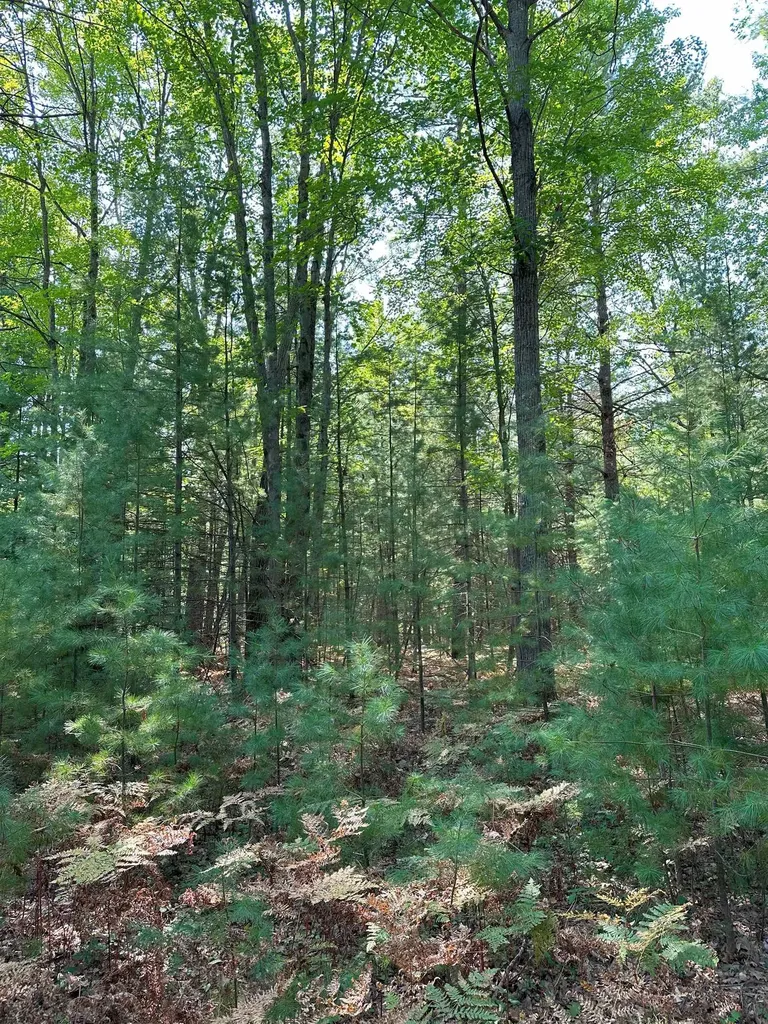592 SE Blue Heron Drive Orange Township MI 49646