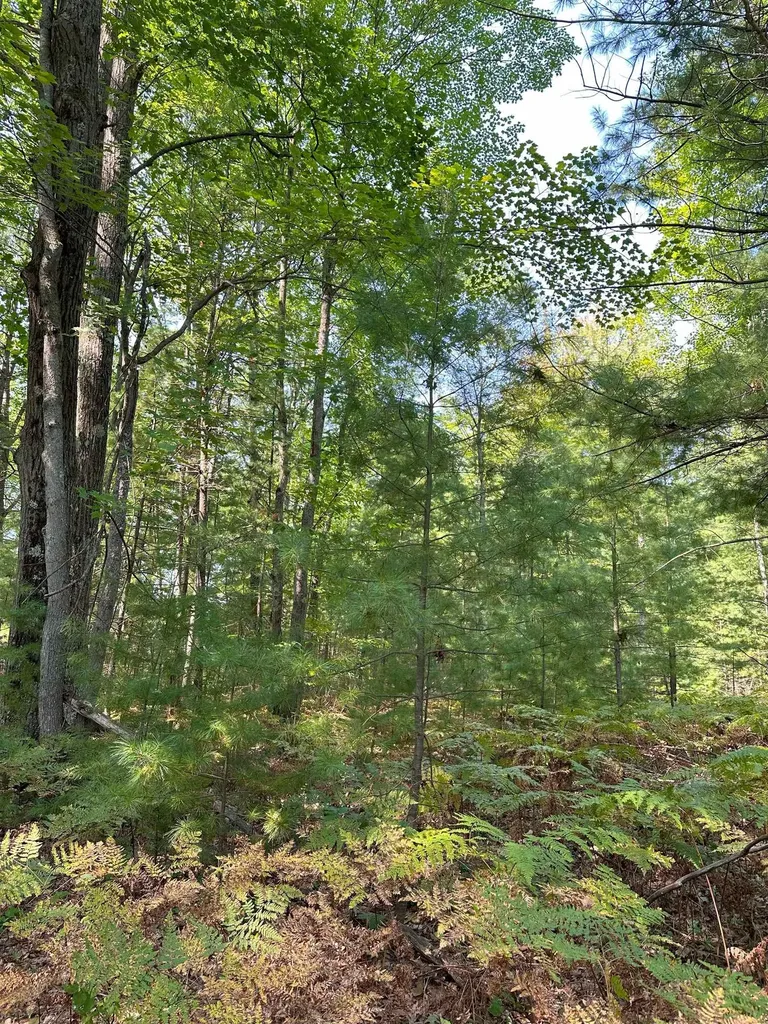 592 SE Blue Heron Drive Orange Township MI 49646