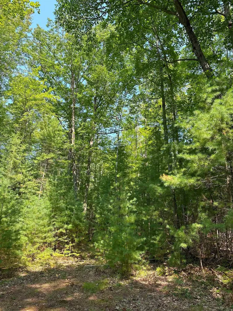 592 SE Blue Heron Drive Orange Township MI 49646