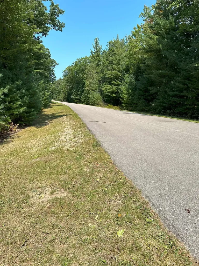 592 SE Blue Heron Drive Orange Township MI 49646