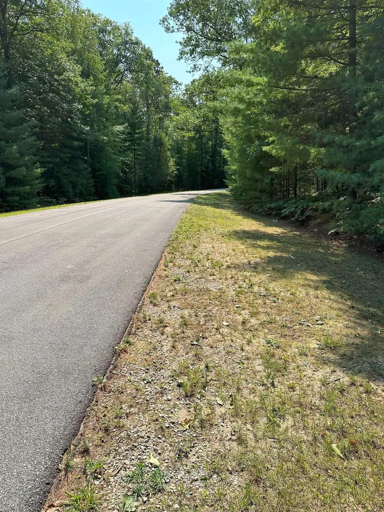 592 SE Blue Heron Drive Orange Township MI 49646