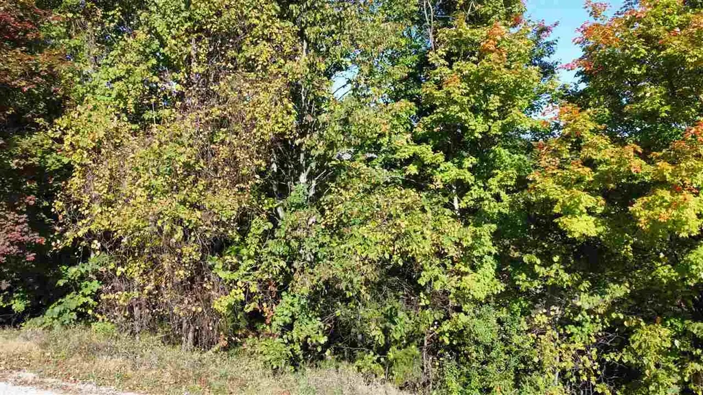 0 Palaestrum Road Whitewater Township MI 49690