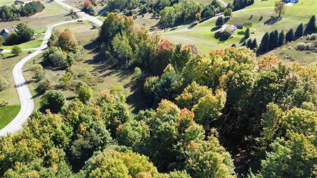 0 Palaestrum Road Whitewater Township MI 49690