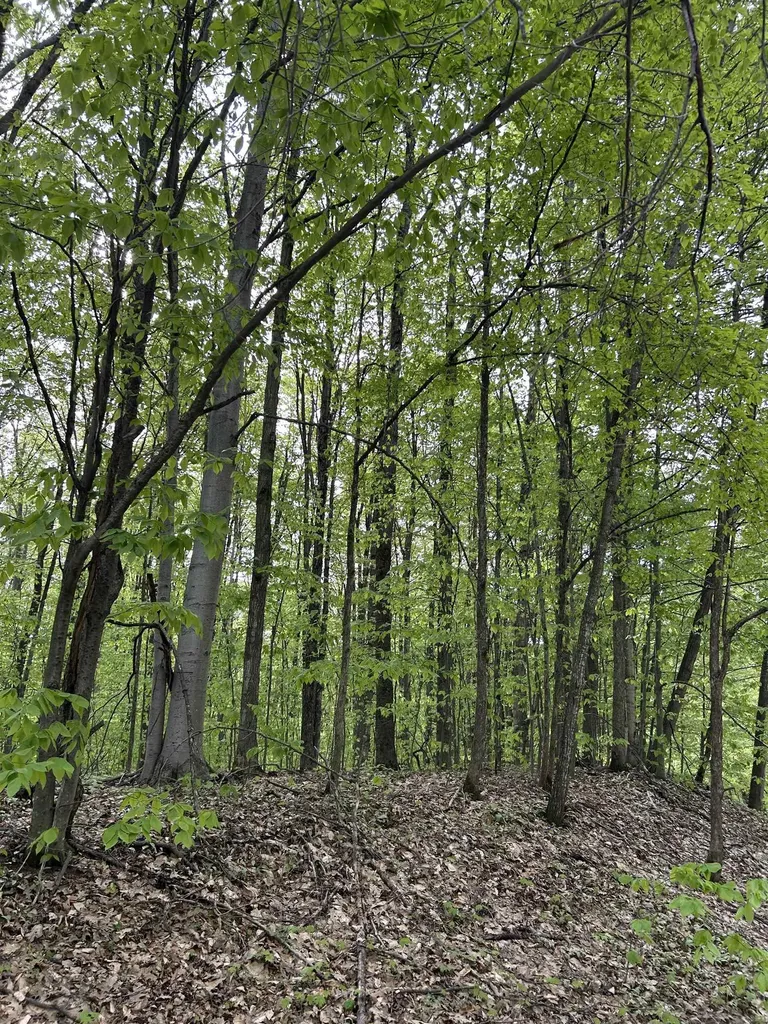 Lot 276 Valleywood Drive Kearney Township MI 49615