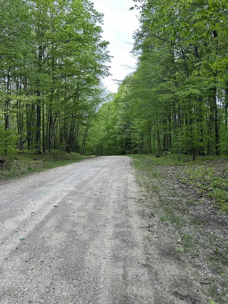 Lot 276 Valleywood Drive Kearney Township MI 49615