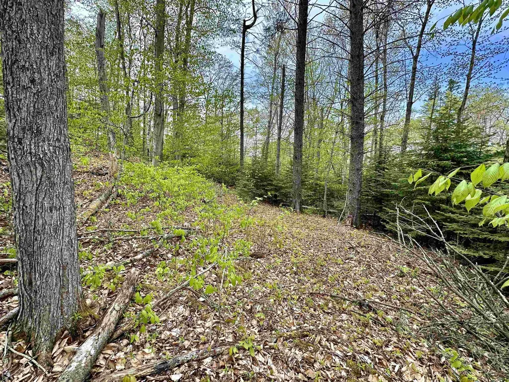 Tbd Allens Lakeview Peaine Township MI 49782