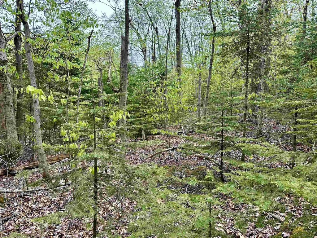 Tbd Allens Lakeview Peaine Township MI 49782