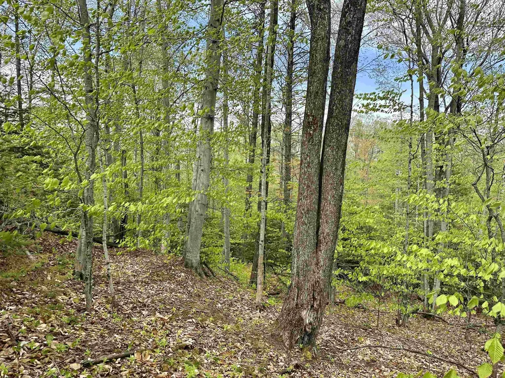 Tbd Allens Lakeview Peaine Township MI 49782