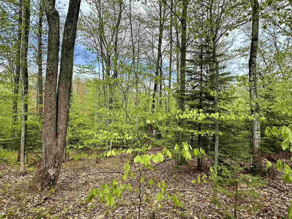 Tbd Allens Lakeview Peaine Township MI 49782