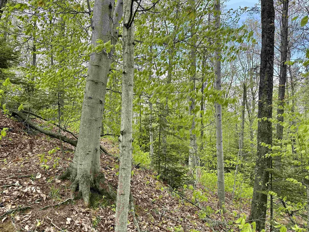 Tbd Allens Lakeview Peaine Township MI 49782
