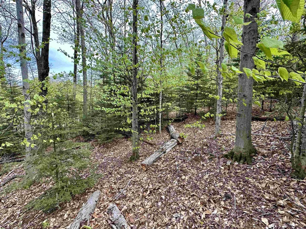 Tbd Allens Lakeview Peaine Township MI 49782