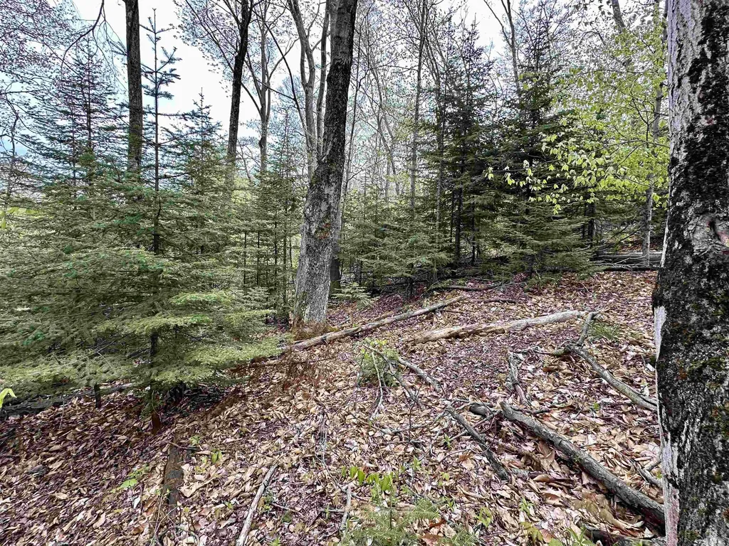 Tbd Allens Lakeview Peaine Township MI 49782