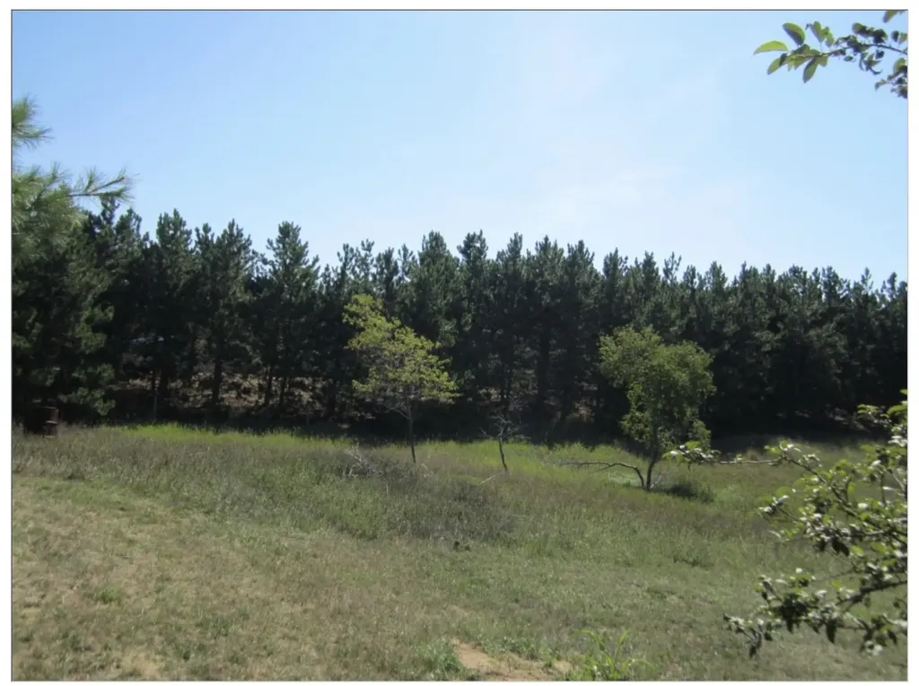 3161 Tibbets Drive East Bay Township MI 49685