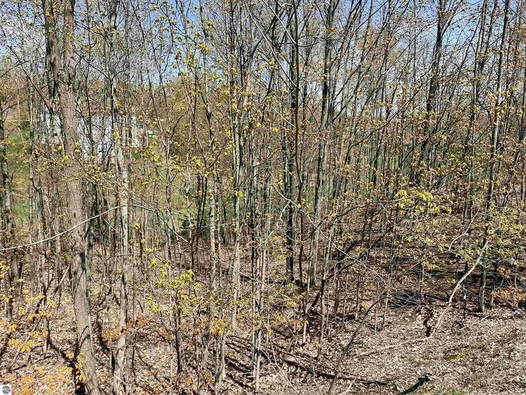4863 Grayhawk Boulevard Garfield Charter Township MI 49684