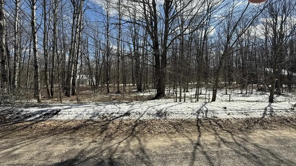Lot 421 Northridge Drive Mancelona Township MI 49659