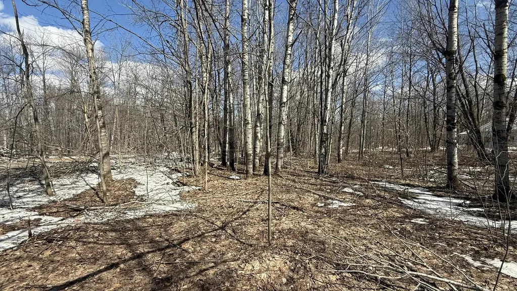 Lot 421 Northridge Drive Mancelona Township MI 49659