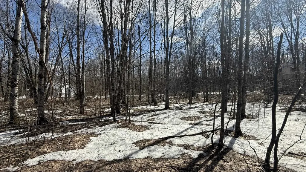 Lot 421 Northridge Drive Mancelona Township MI 49659