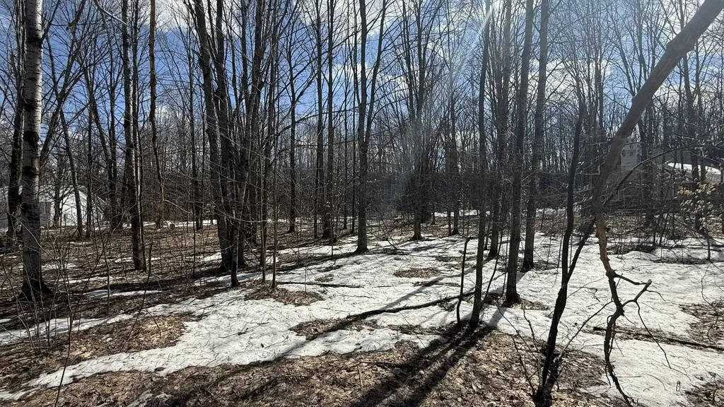 Lot 421 Northridge Drive Mancelona Township MI 49659