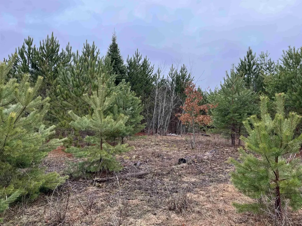 10299 Levi Lane Paradise Township MI 49649
