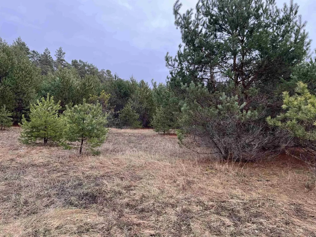10299 Levi Lane Paradise Township MI 49649