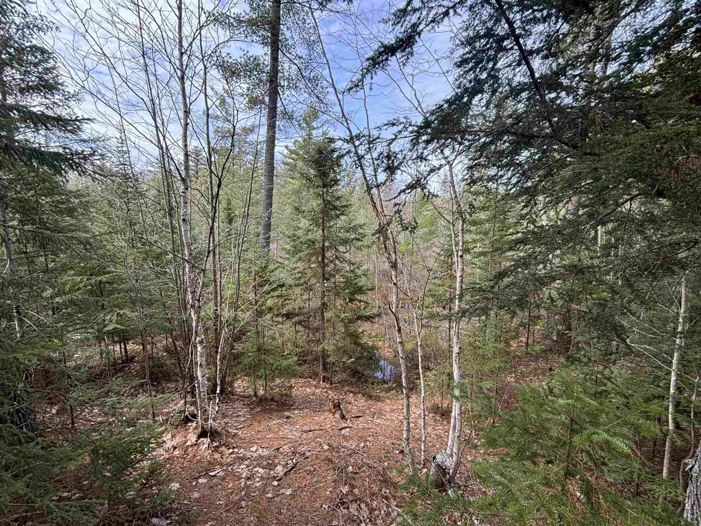 V/l 280a H-40 Hulbert Township MI 49780
