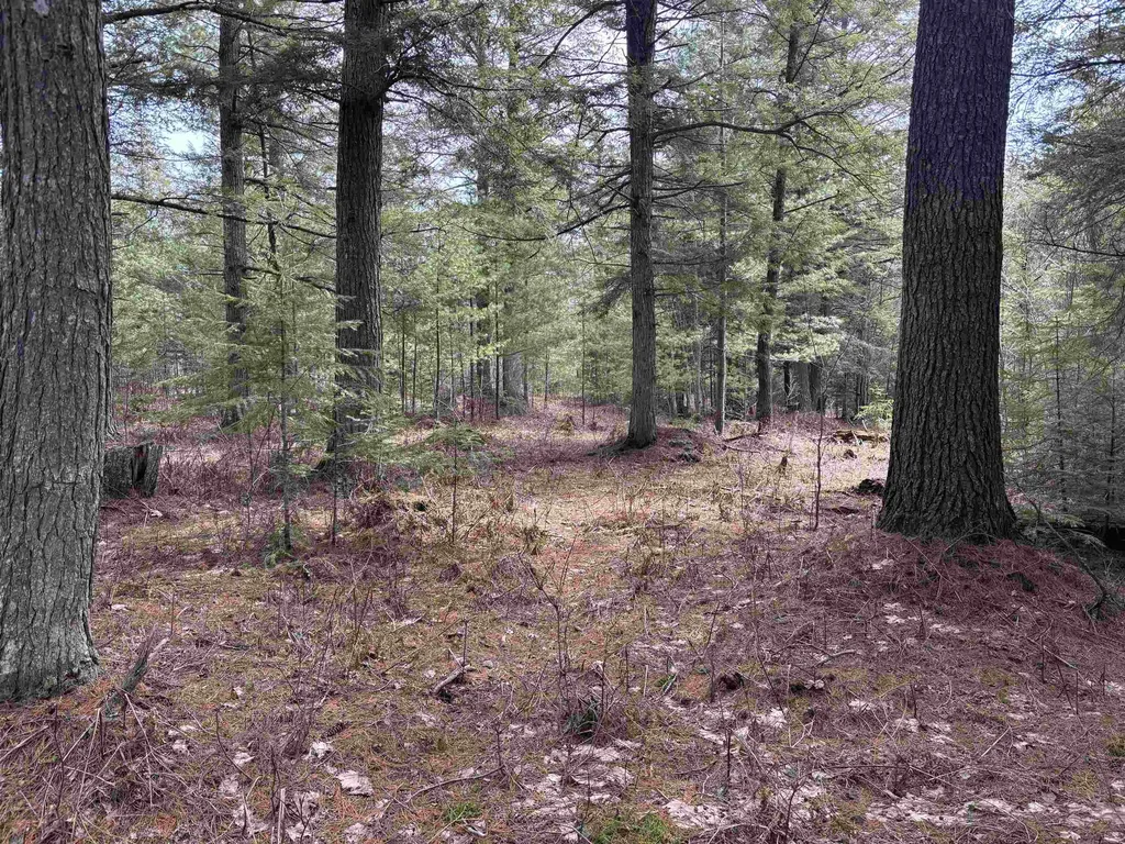 V/l 280a H-40 Hulbert Township MI 49780