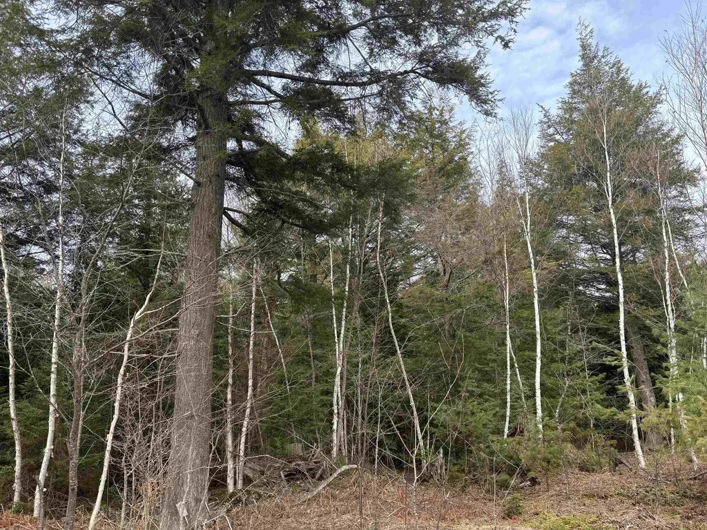 V/l 280a H-40 Hulbert Township MI 49780